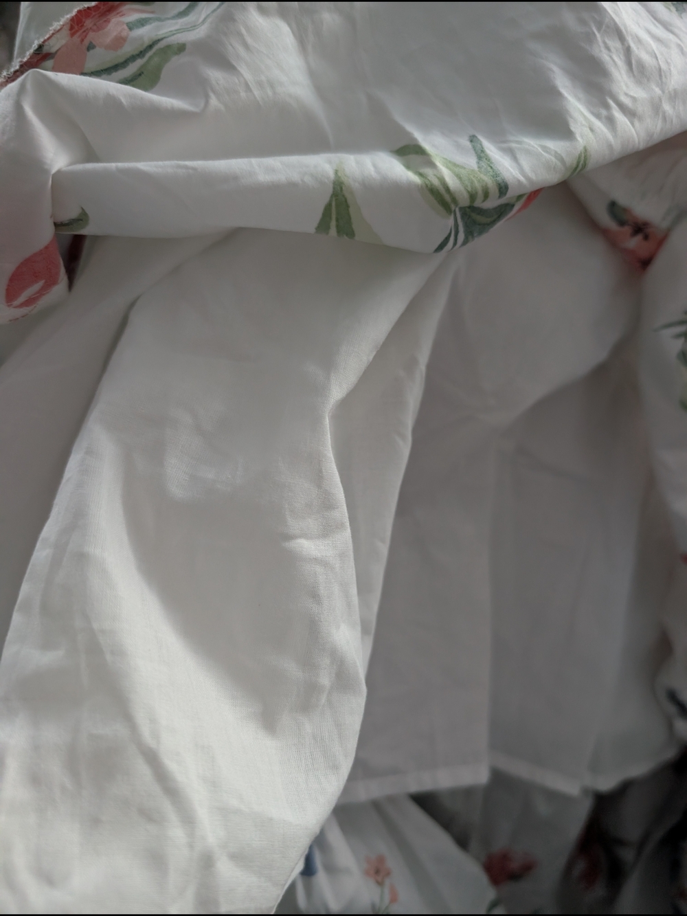 Petal & Pup White Maxi Dress with Red, Blue & Green Floral Print - Picture 8 of 14